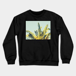 Palm Crewneck Sweatshirt